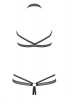 DARKIE body