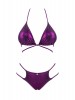 Biquíni Balitta Purpura
