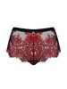 Boxers Redessia