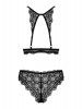 Conjunto Renelia
