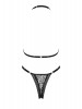 Conjunto Xenita