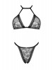 Conjunto Xenita